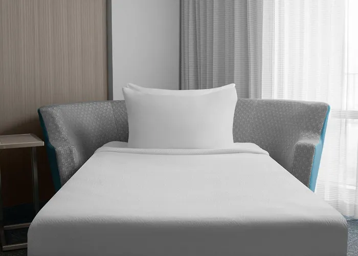 Hotel Courtyard By Marriott Clearwater 3*