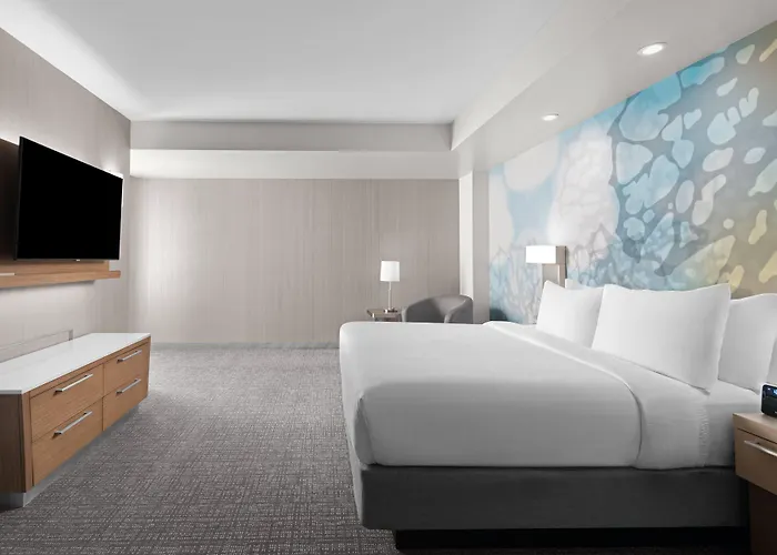 Courtyard By Marriott Clearwater Hotel