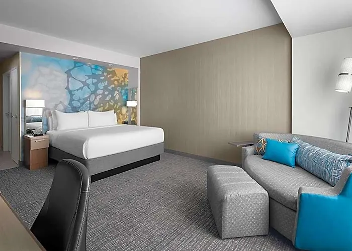 Hotel Courtyard By Marriott Clearwater